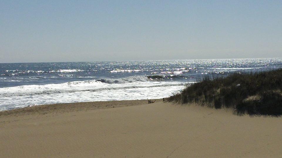 Outer Banks Motor Lodge Kill Devil Hills Exteriör bild
